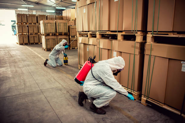 Best Best Pest Control Companies  in Stepping Stone, CO