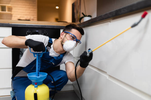 Professional Pest Control in Stepping Stone, CO