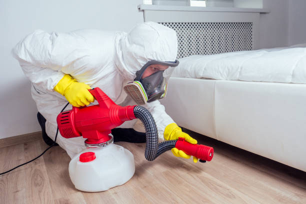 Insect Control in Stepping Stone, CO