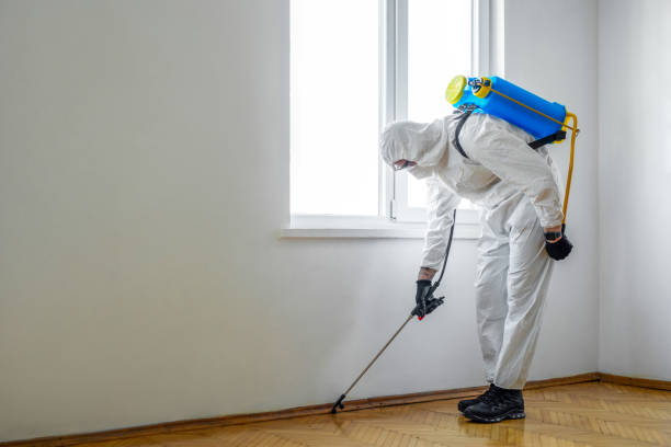 Best Commercial Pest Control Services  in Stepping Stone, CO