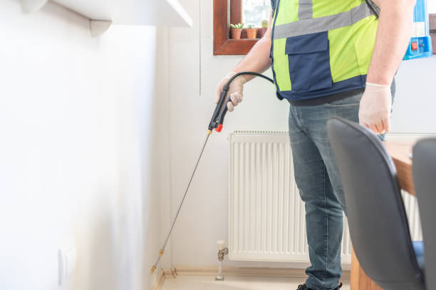 Best Cockroach Control Services  in Stepping Stone, CO