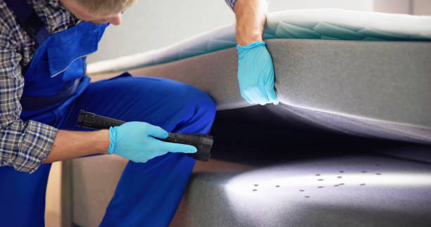  Stepping Stone, CO Pest Control Pros