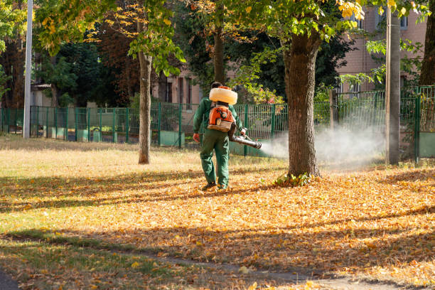 Best Wildlife Control Services  in Stepping Stone, CO