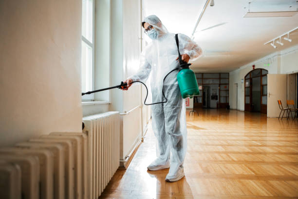 Best Affordable Pest Control Services  in Stepping Stone, CO